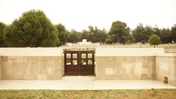 twelve tree copse 03