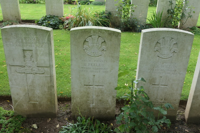 roger feeley 02 resize