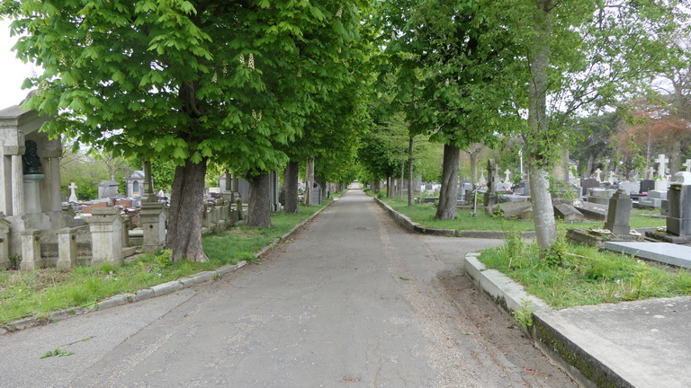 Ste Marie com cem le harve 2