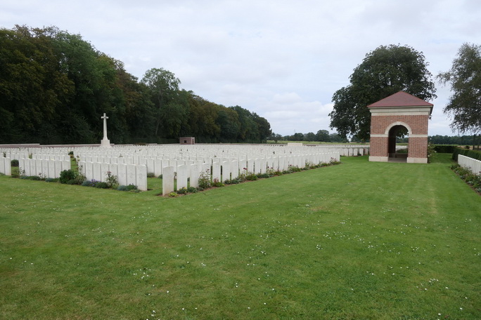 Tiloy 02 resize resize