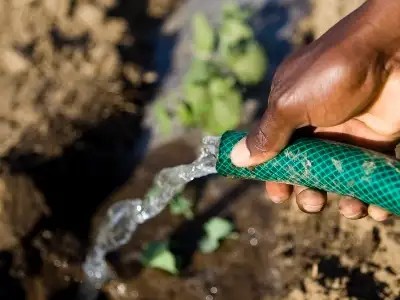 Water Living Water